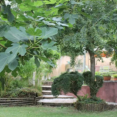Quinta Da Alameda
