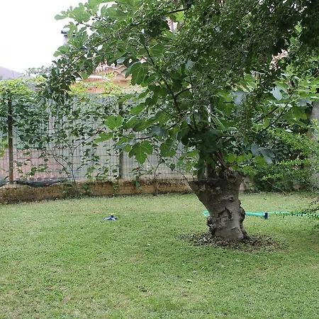 Quinta Da Alameda Malveira