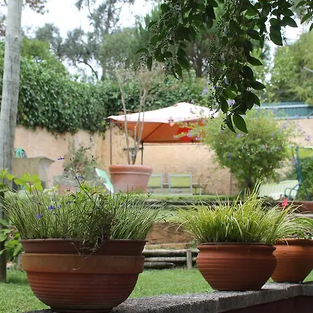 Quinta Da Alameda