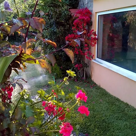 Quinta Da Alameda * 马尔韦拉