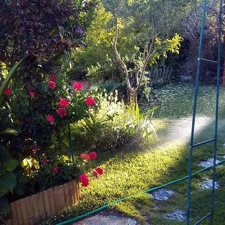 Prázdninový dům Quinta Da Alameda *