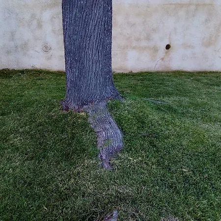 Quinta Da Alameda * Malveira
